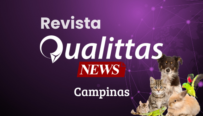 Aulas da Semana: Núcleo Campinas/SP
