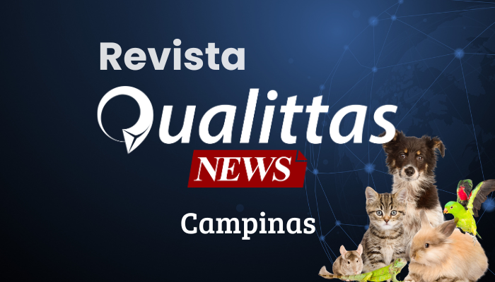 Aulas da Semana: Núcleo Campinas/SP
