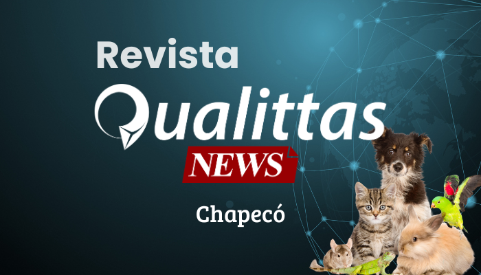 Aulas da Semana: Núcleo Chapecó/SC
