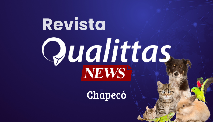 Aulas da Semana: Núcleo Chapecó/SC