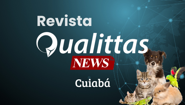 Aulas da Semana: Núcleo Cuiabá/MT