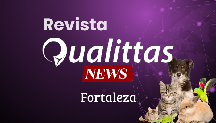 Aulas da Semana: Núcleo Fortaleza/CE