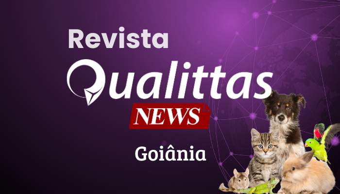 Aulas da Semana: Núcleo Goiânia/GO