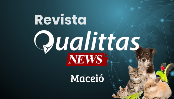 Aulas da Semana: Núcleo Maceió/AL