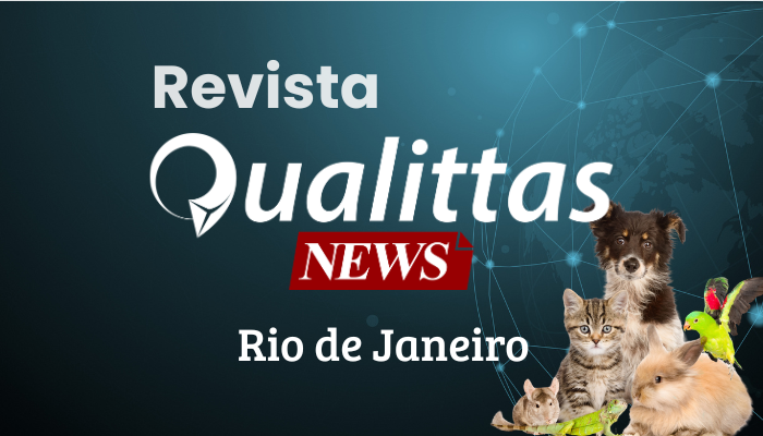 Aulas da Semana: Núcleo Rio de Janeiro/RJ