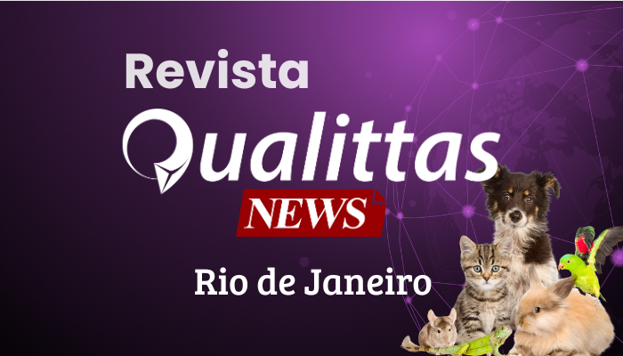 Aulas da Semana: Núcleo Rio de Janeiro/RJ