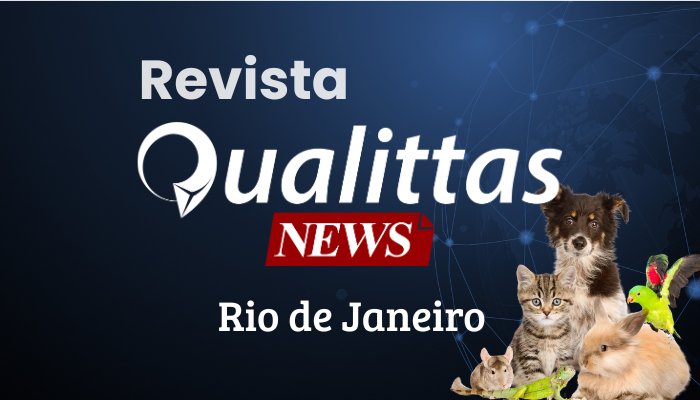 Aulas da Semana: Núcleo Rio de Janeiro/RJ
