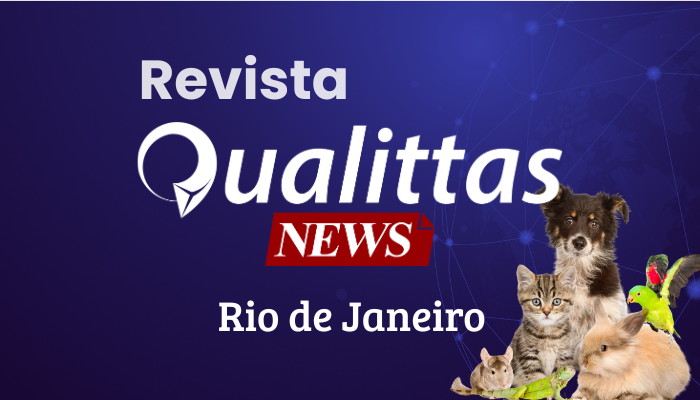 Aulas da Semana: Núcleo Rio de Janeiro/RJ