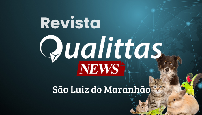 Aulas da Semana: Núcleo São Luís/MA