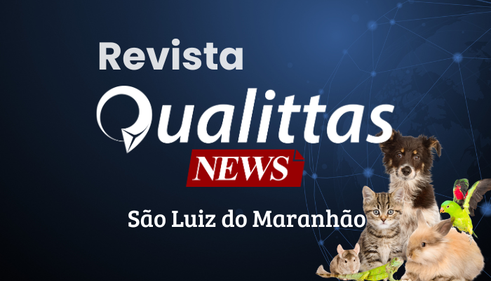 Aulas da Semana: Núcleo São Luís/MA