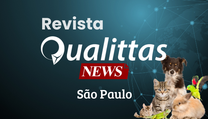 Aulas da Semana: Núcleo São Paulo/SP