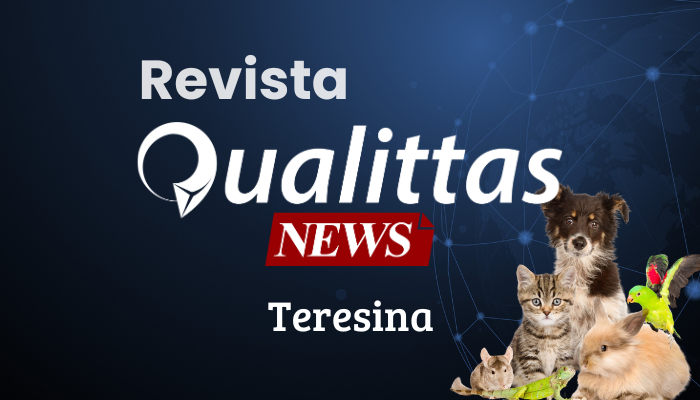 Aulas da Semana: Núcleo Teresina/PI