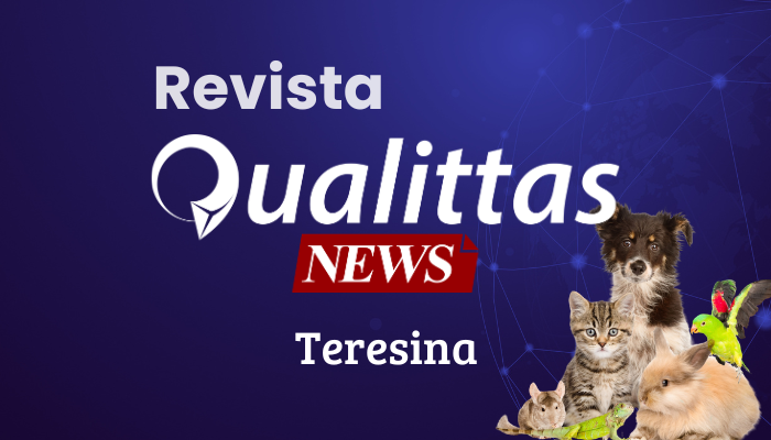 Aulas da Semana: Núcleo Teresina/PI
