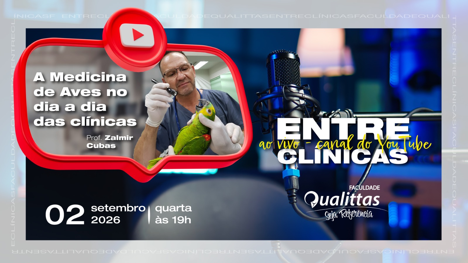 Entre Clínicas debate a Medicina de Aves no dia a dia das clínicas veterinárias