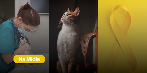 Dia do Médico-Veterinário, crescimento da população felina e Setembro Amarelo colocam a Qualittas em destaque na imprensa