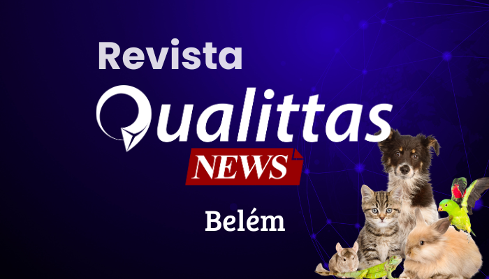 Aulas da Semana: Núcleo Belém/PA