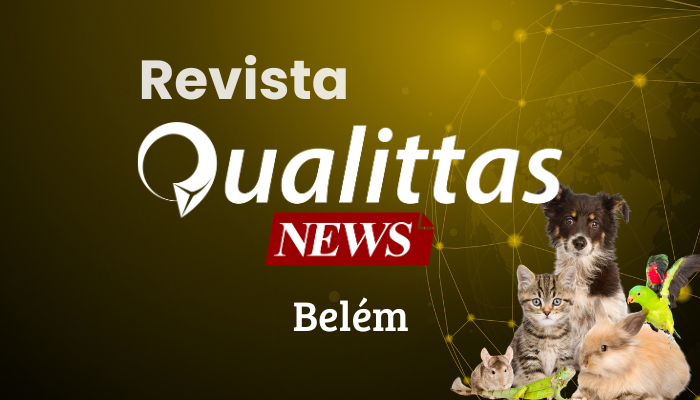 Aulas da Semana: Núcleo Belém/PA