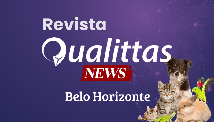 Aulas da Semana: Núcleo Belo Horizonte/MG