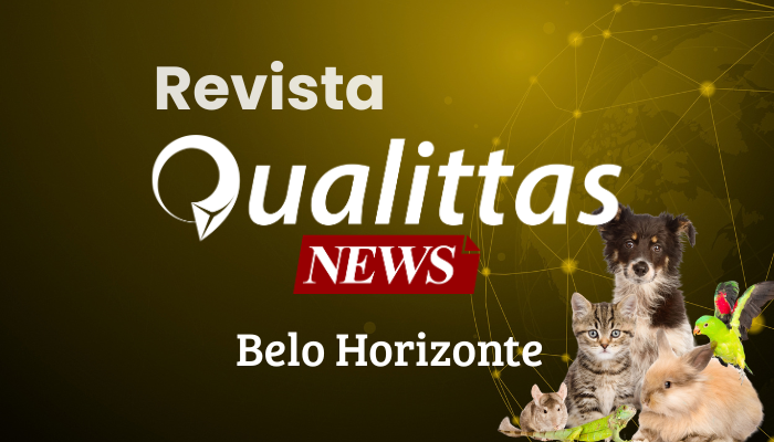 Aulas da Semana: Núcleo Belo Horizonte/MG