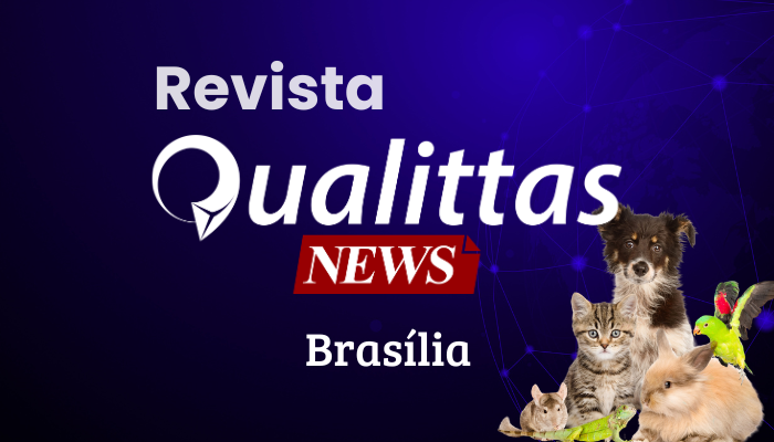 Aulas da Semana: Núcleo Brasília/DF