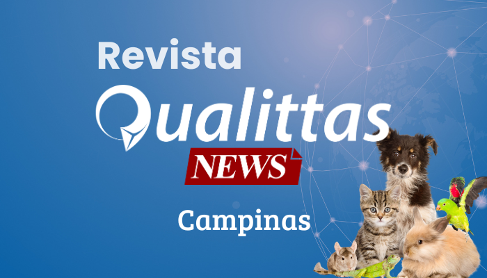 Aulas da Semana: Núcleo Campinas/SP