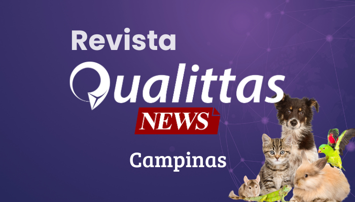 Aulas da Semana: Núcleo Campinas/SP