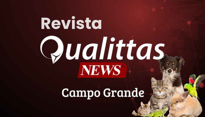 Aulas da Semana: Núcleo Campo Grande/MS
