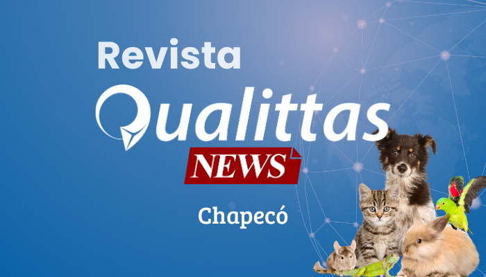 Aulas da Semana: Núcleo Chapecó/SC