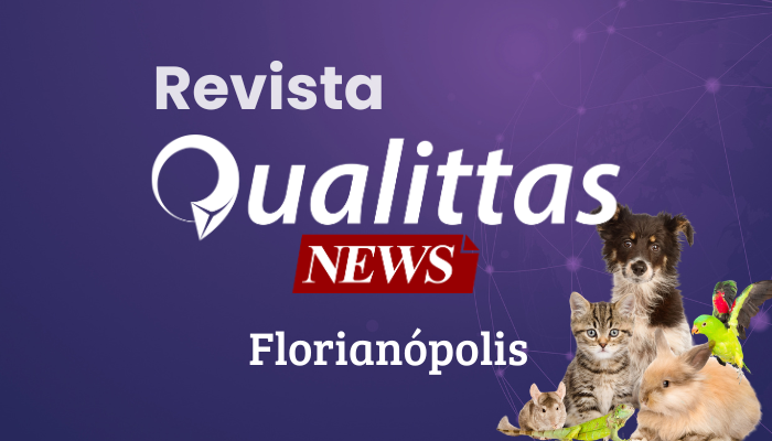Aulas da Semana: Núcleo Florianópolis/SC