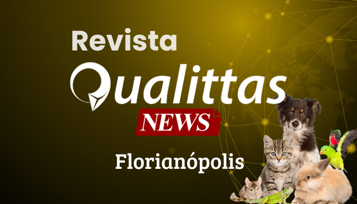 Aulas da Semana: Núcleo Florianópolis/SC