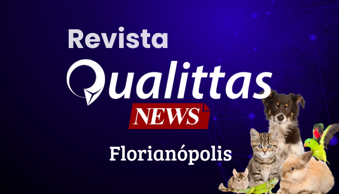 Aulas da Semana: Núcleo Florianópolis/SC