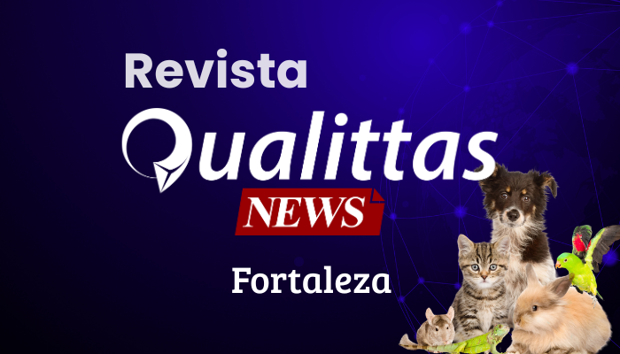 Aulas da Semana: Núcleo Fortaleza/CE