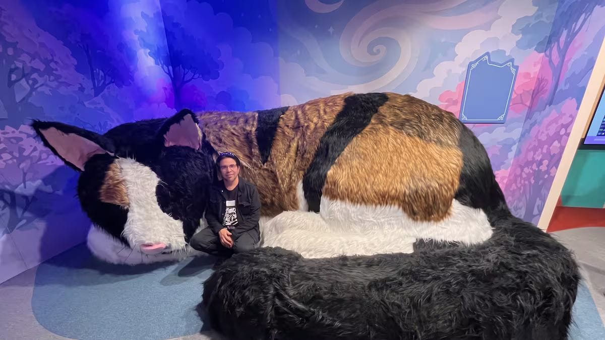 Museu do Gato destaca o protagonismo dos felinos e reforça a importância da especialização veterinária