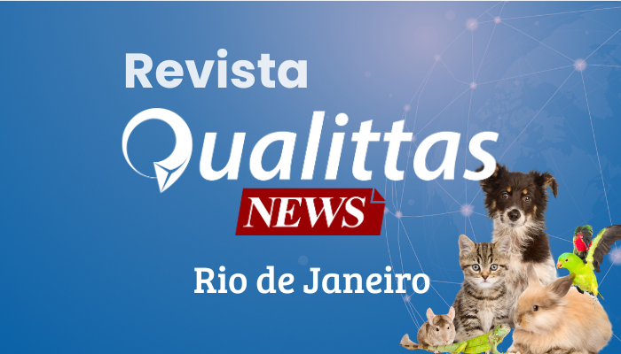 Aulas da Semana: Núcleo Rio de Janeiro/RJ