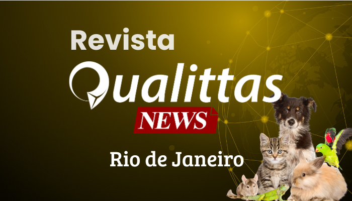 Aulas da Semana: Núcleo Rio de Janeiro/RJ