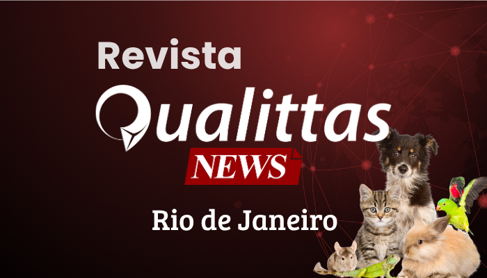Aulas da Semana: Núcleo Rio de Janeiro/RJ