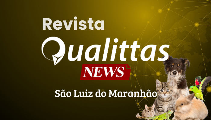 Aulas da Semana: Núcleo São Luís/MA