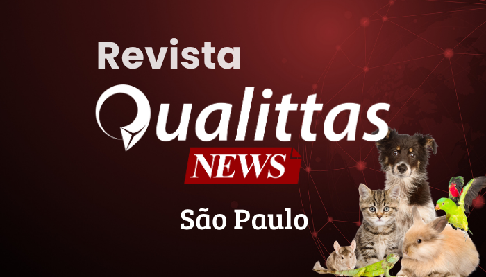 Aulas da Semana: Núcleo São Paulo/SP