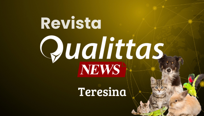 Aulas da Semana: Núcleo Teresina/PI