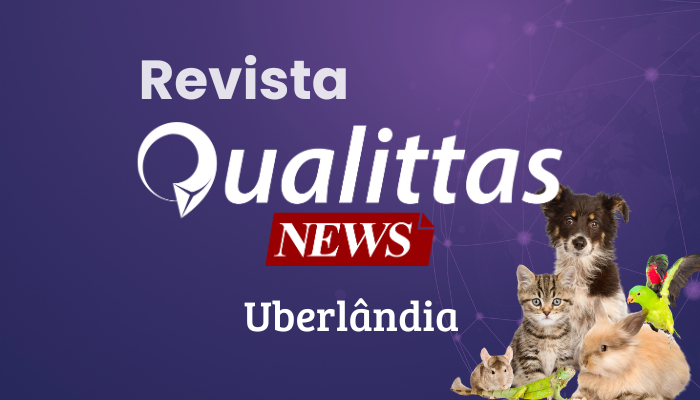 Aulas da Semana: Núcleo Uberlândia/MG