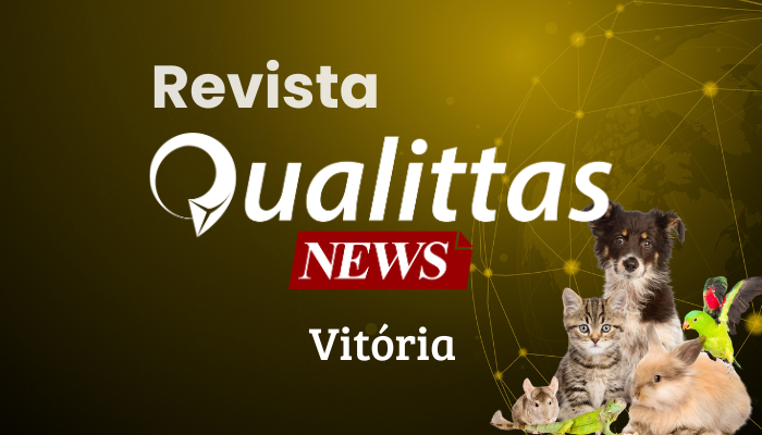 Aulas da Semana: Núcleo Vitória/ES