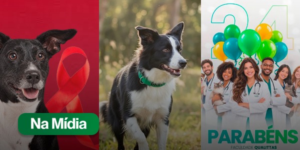 Qualittas ganha destaque na imprensa com Setembro Vermelho, Dia Mundial do Cão e celebração de 24 anos